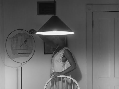 Carrie Mae Weems, Untitled (Woman Feeding Bird), The Kitchen Table Series, 1989-90