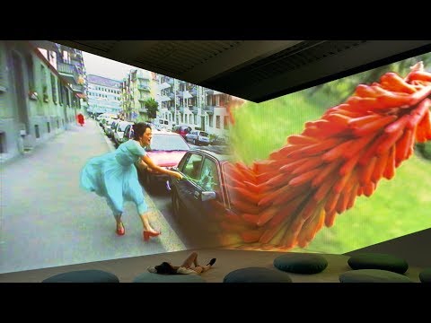 Pipilotti Rist - Ever is Over All, 1997