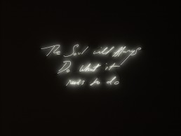 Tracey Emin, The Soul will Always Do What it needs to do