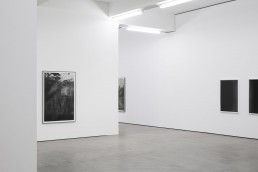 Berit Schneidereit, Installationsansichten, Terrain, 2017