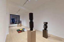 Patrick Carpentier, “A Short Term Effect, An Echo”, Galeria MLF