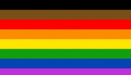 Pride Flag used at the Philadelphia pride festivities in 2017