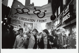 Stonewall Riots Diana Davies