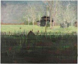 Peter Doig, landscape artists
