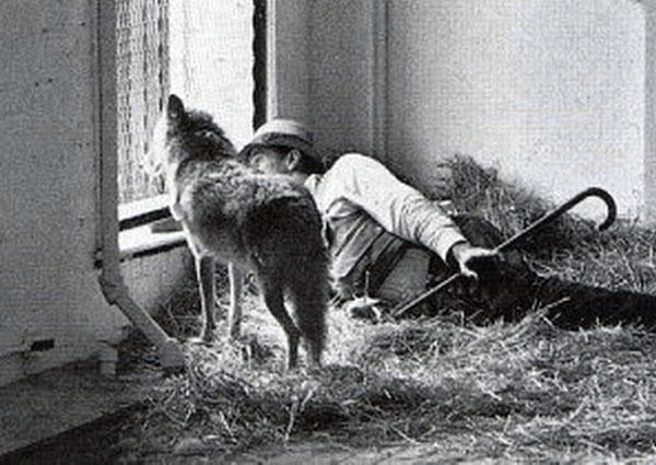 Beuys Art