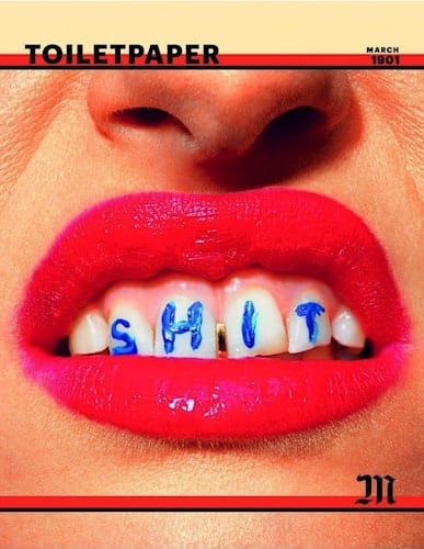 TOILETPAPER Magazine, shit, by Cattelan