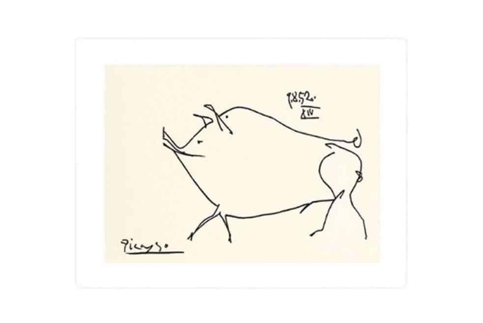 33 Picasso Line Drawings ideas