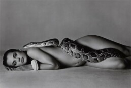 Richard Avedon - Nastassja Kinski and the Serpent (1981)