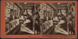 Stereoscopic photograph of the Knoedler gallery interior - William Pym