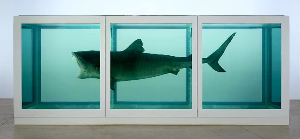 art media. Embalmed shark by Damien Hirst.