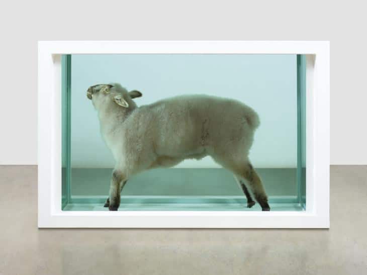 Damien Hirst, Away from the Flock. Lamb and formaldehyde solution. 