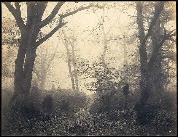 Fontainebleau Forest by Eugène Cuvelier