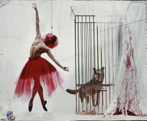 Gérard Rancinan, Les contes de Perrault. Le petit chaperon rouge (Emmanuel Tibault), 2003.