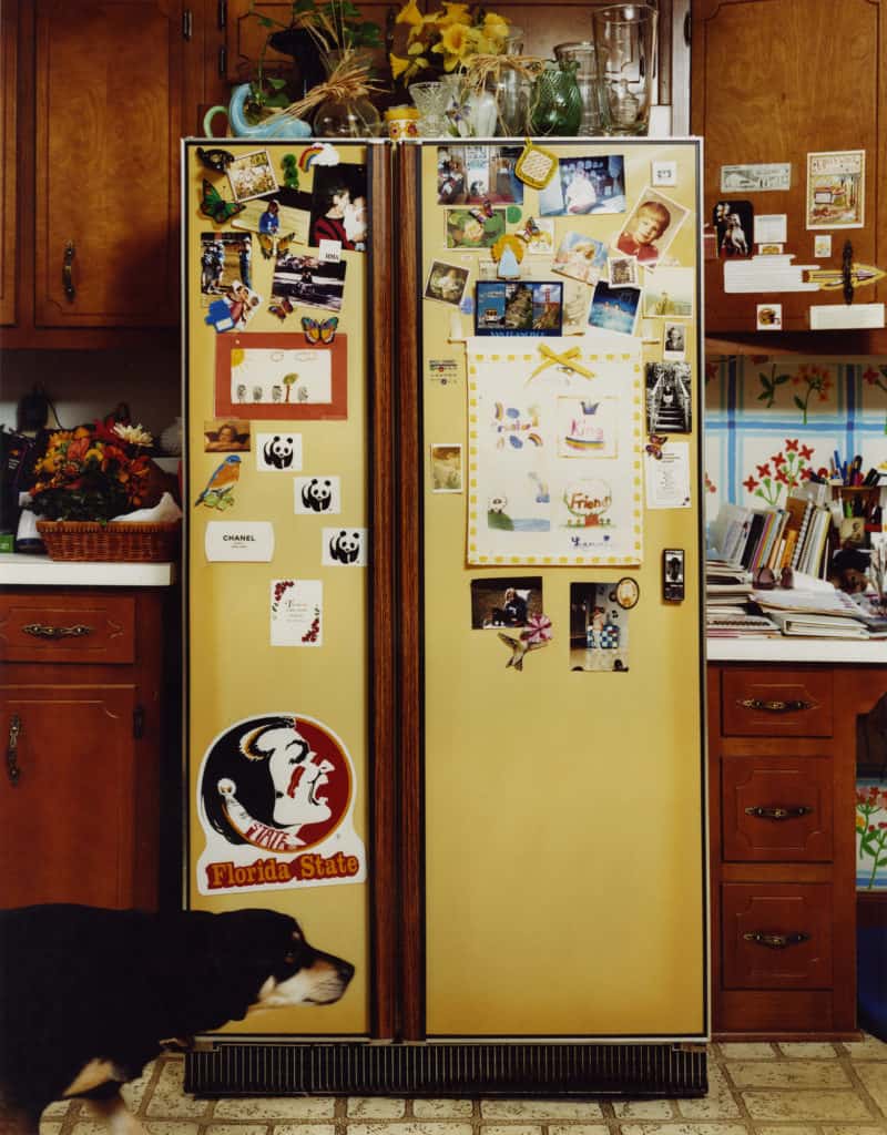 ROE ETHRIDGE, Refrigerator, 1999