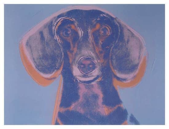 Andy Warhol, Portrait of Maurice the Dachshund, 1976