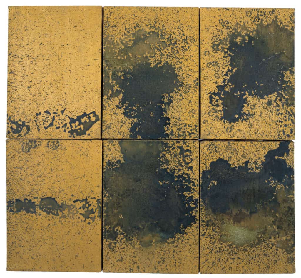 Andy Warhol, Oxidation