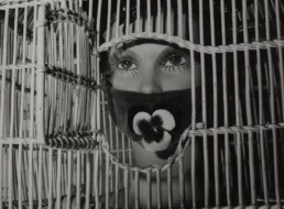The seismic International Surrealist Exhibition of 1938