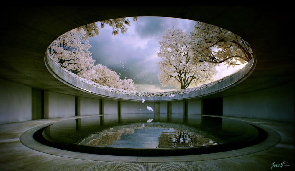 The Oval, the Chichu Art Museum Naoshima 