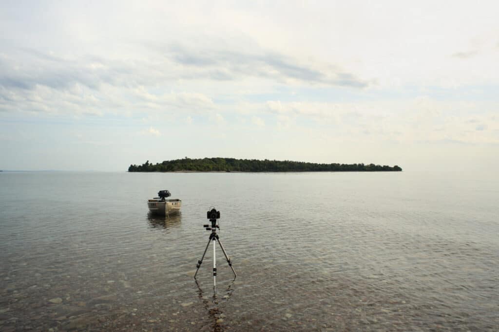 Rabbit Island residency