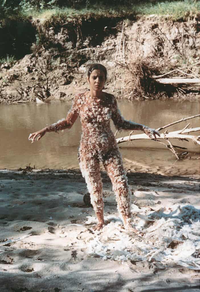Ana Mendieta, Blood and Feathers (2)