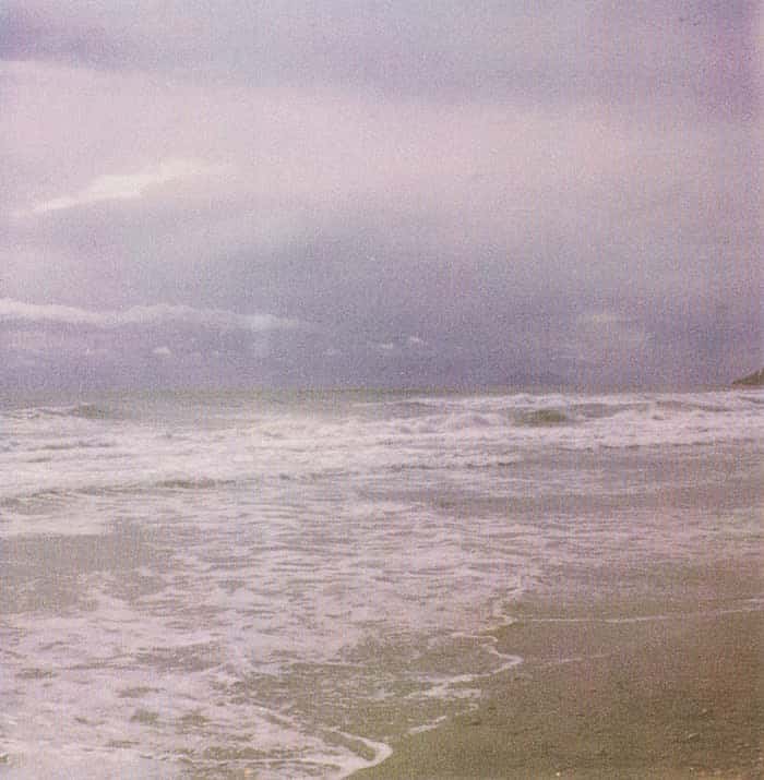 Cy Twombly photographs, Miramare