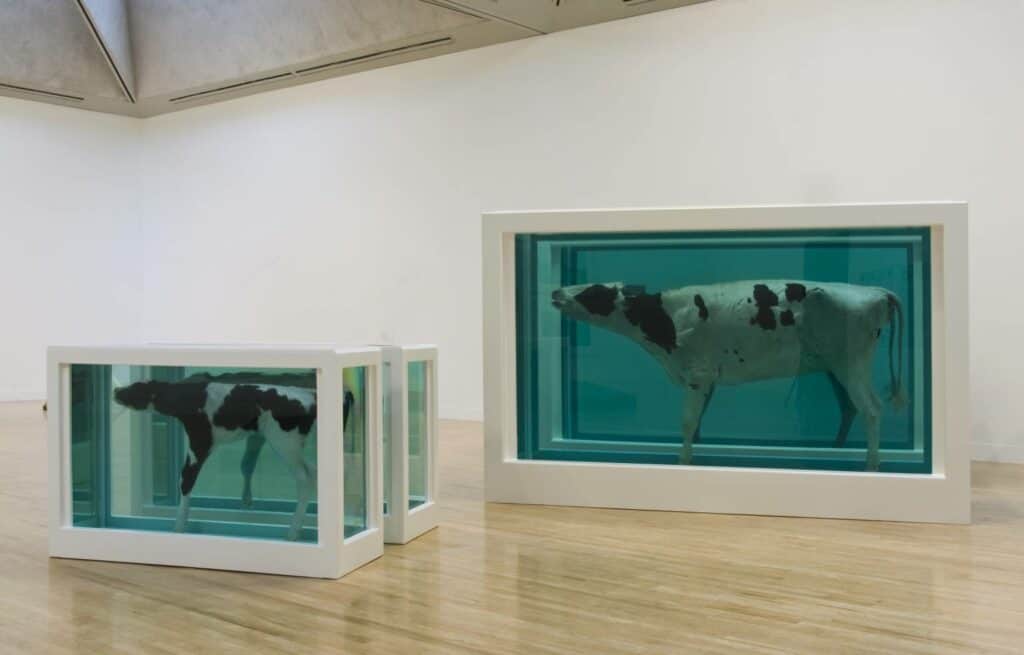 Mother and Child (Divided) by Damien Hirst, the work that earned the artist the 1995 Turner Prize