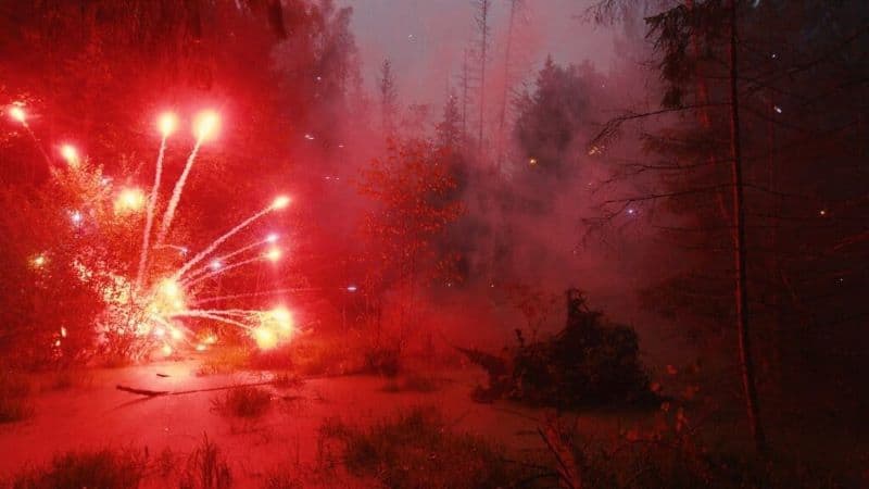 Still from Solo Award winner Sergei Prokofiev's Fireworks on the Swamp (2020) 