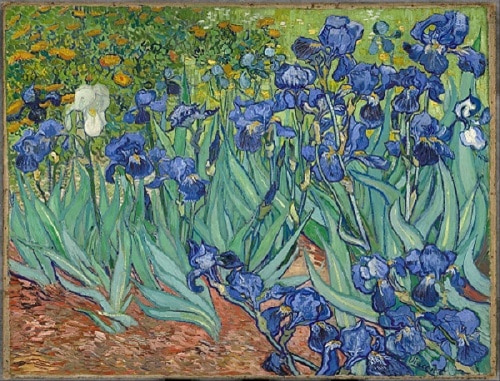Famous Van Gogh flower painting titled 'Irises'